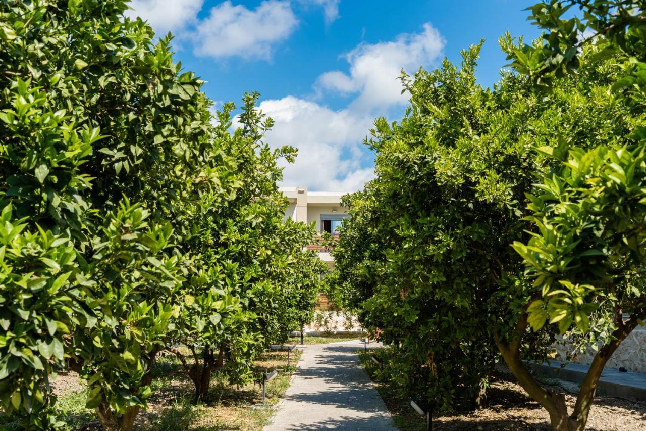 Ilyssion Holidays Hotel Ialysos  Exterior foto